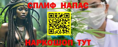 крисы Будённовск