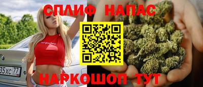 крисы Будённовск