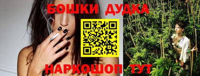 крисы Будённовск