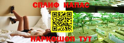 крисы Будённовск