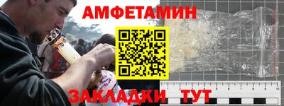 крисы Будённовск