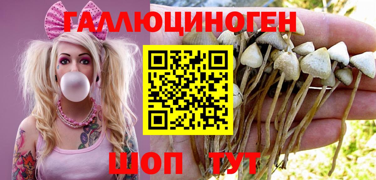 Галлюциногенные грибы MAGIC MUSHROOMS Печора