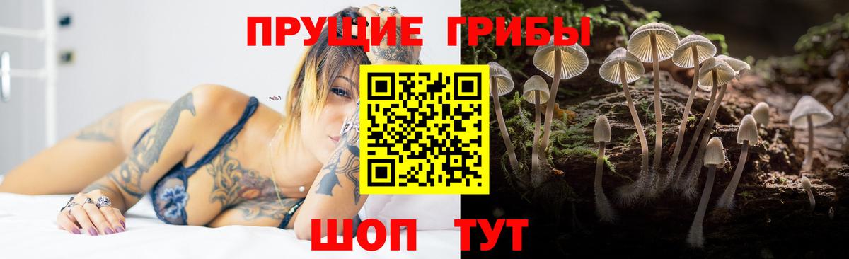 Печора  Псилоцибиновые грибы Cubensis  Вход с VPN 